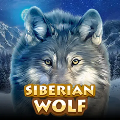 Siberian Wolf