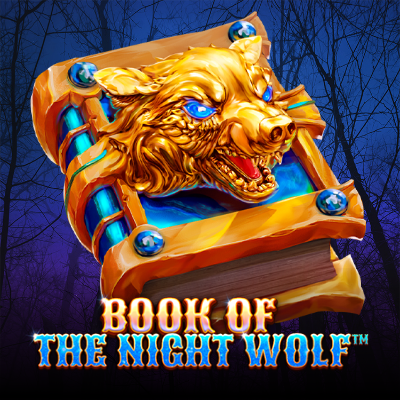 Book Of the Night Wolf