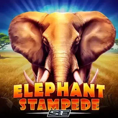 Elephant Stampede